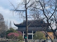 -红梅公园