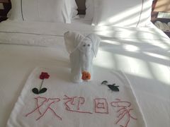 -三亚亚龙湾红树林度假酒店