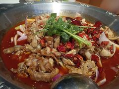 -海岛八号龙虾烧烤田鸡(蓝天路总店)