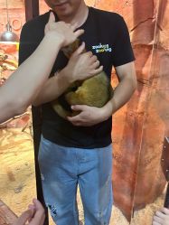 -Zoolung Zoolung动物主题公园(海信广场店)