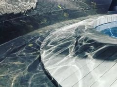 -张之洞与武汉博物馆