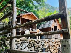 -幽岚山·童话森林