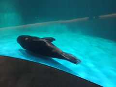-青岛海底世界-水族馆
