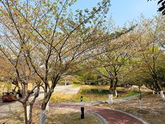 -长广溪湿地公园