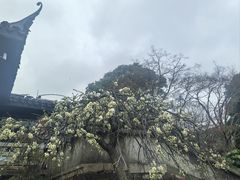 -无锡梅园公园