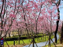 -福建鲤鱼洲酒店