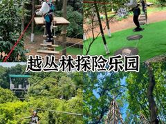 -长洲岛
