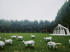 -九十九顶毡房(阜石路店)