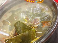 -花苑美食横琴生蚝火锅(拱北粤华路店)