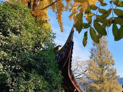-龙华寺