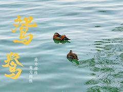 -颐和园
