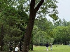 -保定东湖公园(莲池区)