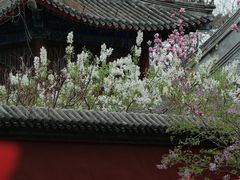 -红螺寺