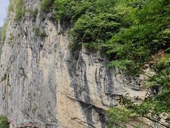 -鹿院坪生态旅游景区