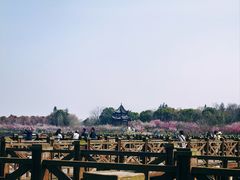 -上海海湾国家森林公园