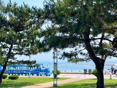 -日照海滨国家森林公园