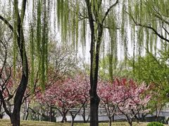 -皇家御河游(紫御湾码头)