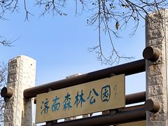 -济南森林公园