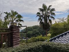 -罗浮山嘉宝田森林温泉度假酒店