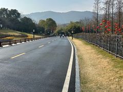 -习家池