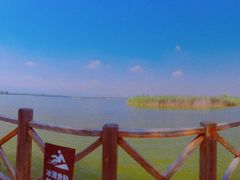 -野鸭湖国家湿地公园