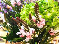 -今日陶艺(富力广场店)