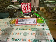 -曾百万小炉小串自助烧烤(高新店)