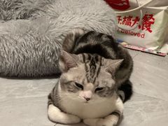 -美联众合爱康动物医院•复杂内科•肿瘤科•牙科•腔镜诊疗中心