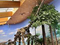 -延庆地质公园博物馆