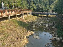 -广州白江湖森林公园