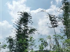 -墨江北回归线标志园