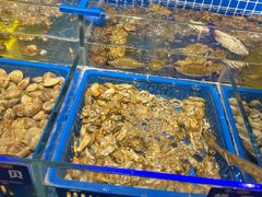 -锅儿欢海鲜火锅烤肉自助餐(东港凯虹店)