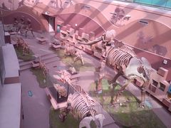 -陕西自然博物馆