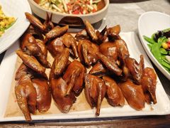 -鸽子窝(青塔店)