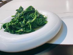 清炒豆尖儿-峨嵋酒家总店(车公庄店)