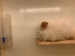 -龙猫仔乐园(惠福东路店)