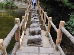 -王顺山国家森林公园