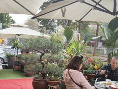 -山水茶艺馆·点心粤菜·30年老字号