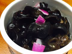 茶油黑木耳-渝是乎酸菜鱼(龙旗购物中心店)