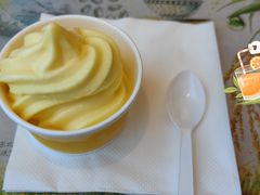 -麦当劳(金州新玛特购物广场店)