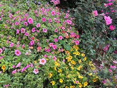 -人民公园(罗湖区)