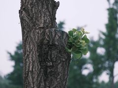 -廊坊文化艺术中心