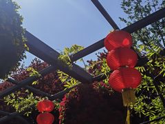 -东平国家森林公园