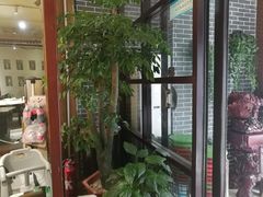 -粗茶淡饭•陕菜•家常菜