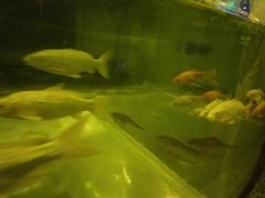 -中影国际影城(兰生大厦CINITY LED店)