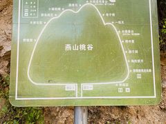 -大岭沟猕猴桃谷风景区