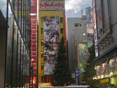 -秋叶原电器街