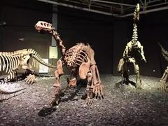 -世界恐龙谷景区