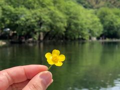 -鹿亭中村