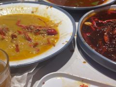 -杨氏青龙虾·羊蝎子(托乐嘉店)